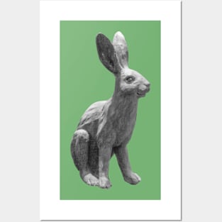 Hare Statue Posters and Art